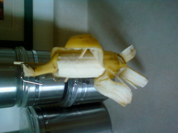 Creation of "Banana split this, @#$%!": Step 2
